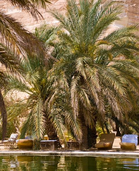 Siwa Oasis - Egypte © Ecolodge Adrere Amellal