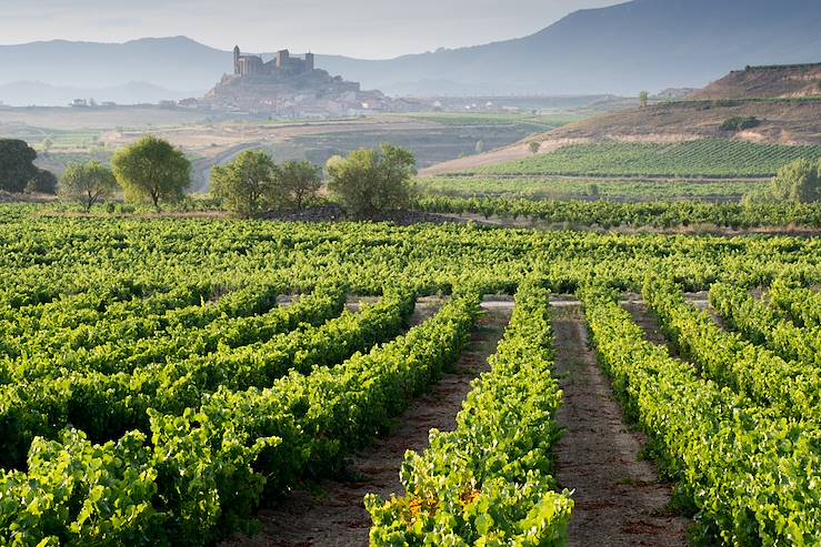 Vineyard - San Vicente de la Sonsierra - La Rioja - Spain © ALCE/Fotolia