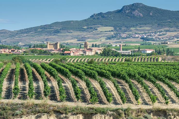 Wineyards - Spain © Droits reservés