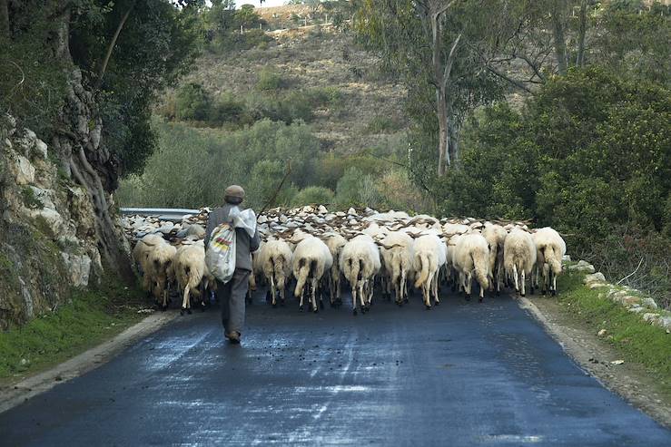 Asturies - Espagne © Droits reservés