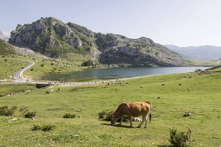 Picos de Europa National Park - Asturias - Spain © Droits reservés