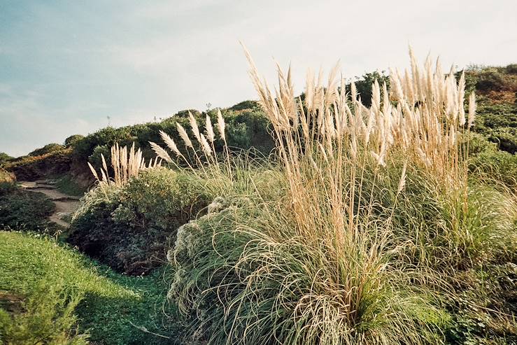 Natural Landscape - France © Alix Pardo