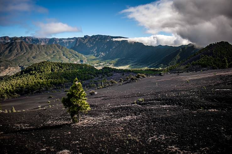 Cumbre Nueva - Route des Volcans - La Palma - Iles Canaries © Droits reservés