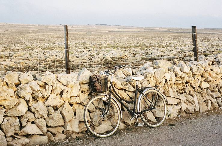 Baléares - Espagne © Cecilia Renard 