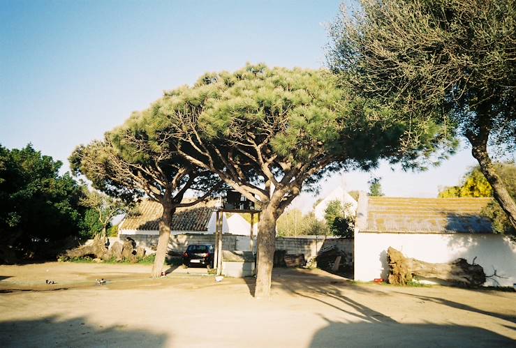 Conil - Andalousie - Espagne © Droits reservés