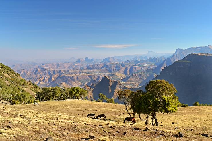 Simien National Park - Ethiopia © fbxx/Getty Images/iStockphoto