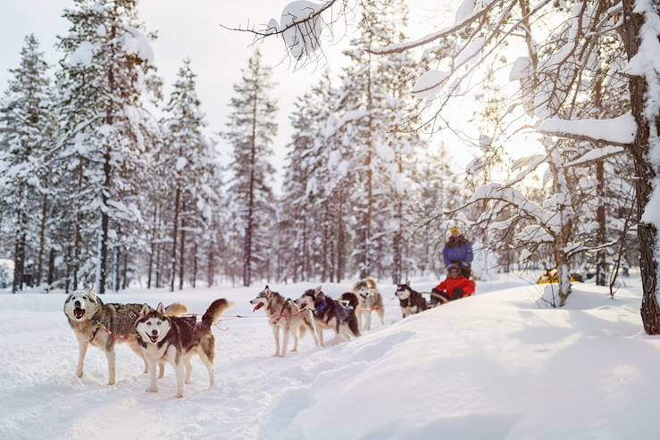 Dog sledding - Lapland - Finland © Alexander Shalamov/BlueOrange Studio/stock.adobe.com