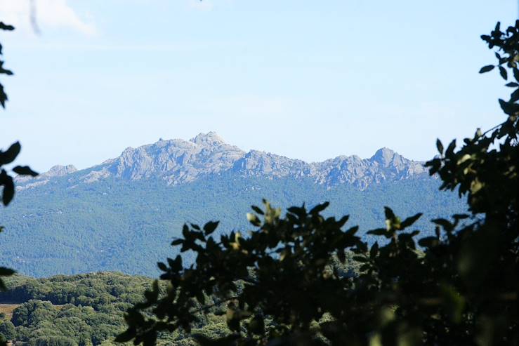 Levie - Corse - France © Droits reservés