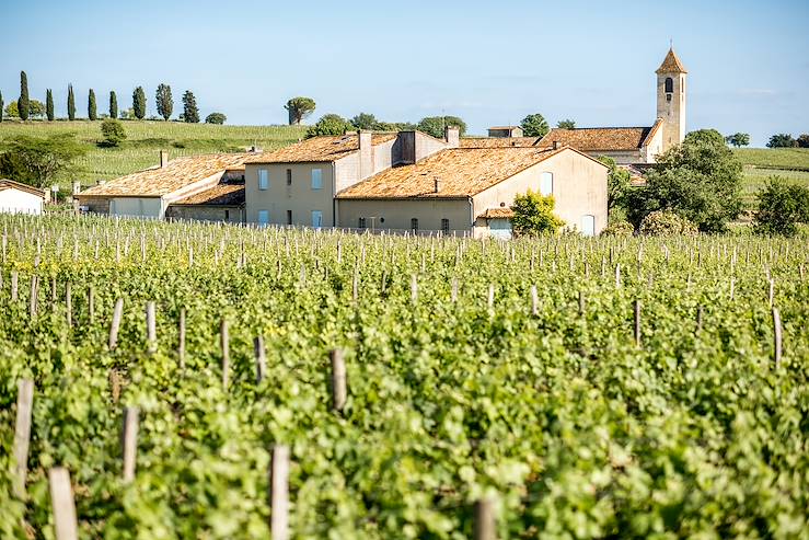 Vineyards - France © Droits reservés