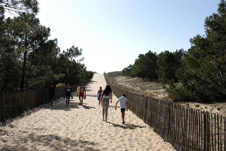 Bassin d'Arcachon - France © Droits reservés