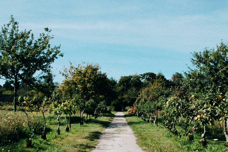 Bretagne - France © Faustine Poidevin