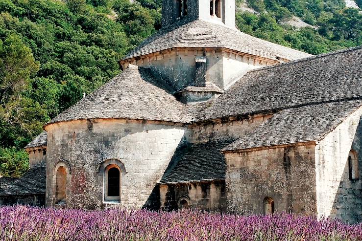 Senanque Abbey - Vaucluse - Provence - France © Droits reservés