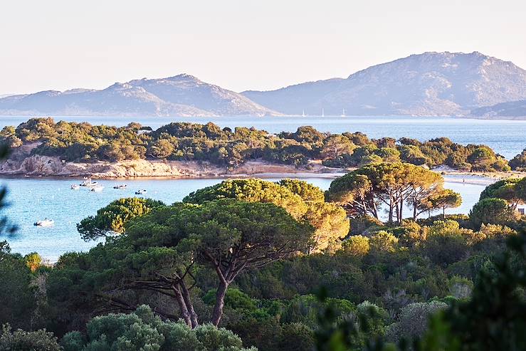 Natural landscape - France © Frank Luerweg/stock.adobe.com