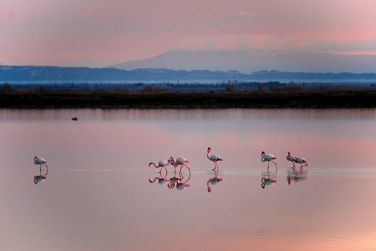 Parc naturel de Camargue - France © Corinne Bomont/stock.adobe.com