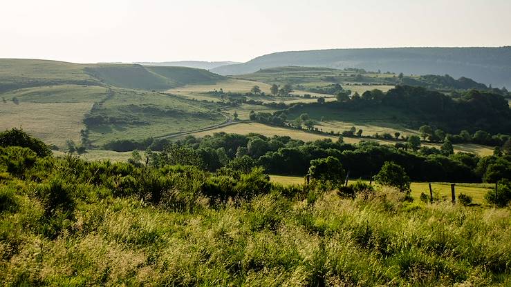 Paysage d'Aubrac - France © M. Hennessy/Tourisme Aveyron