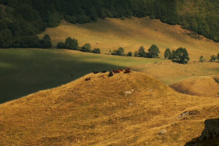 Cantal - France © Jérôme Galland