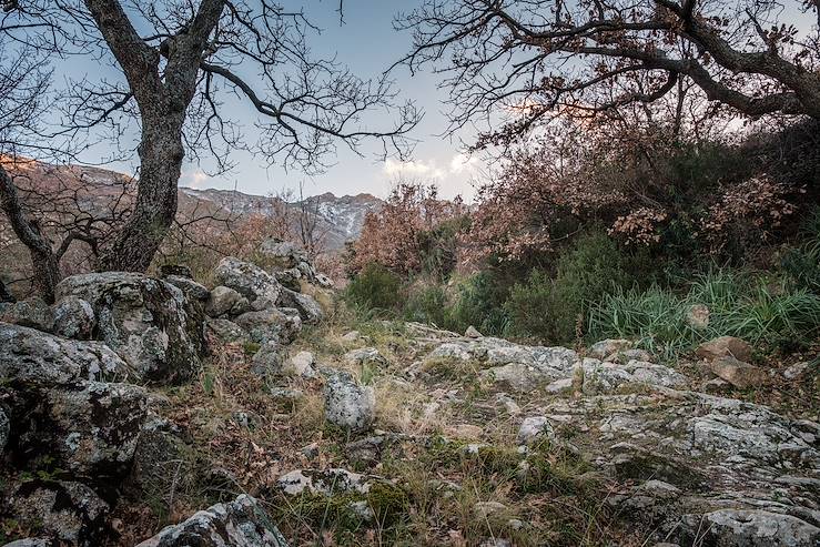 Montagne - Corse - France © Droits reservés