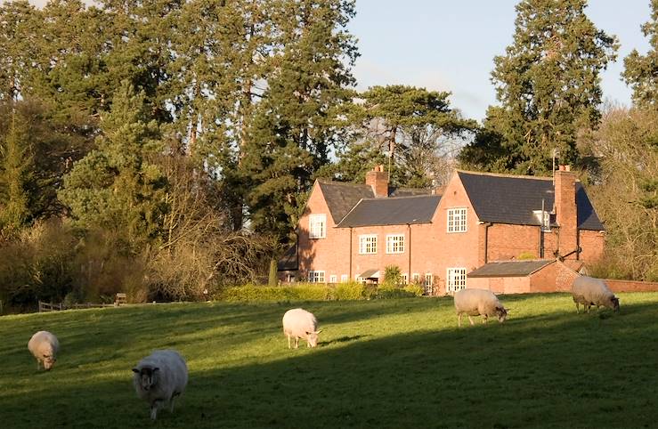 Sheep - England - United Kingdom © Ann Taylor-Hughes/Getty Images/iStockphoto