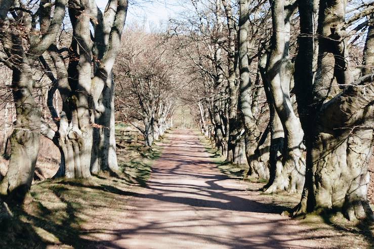 Road - Scotland © Droits reservés