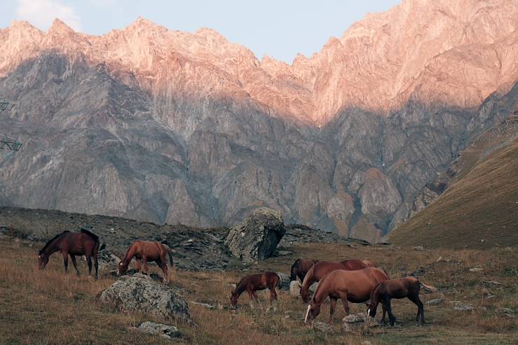 Mountain and wild horses in Georgia © Phaustov/Getty Images/iStockphoto