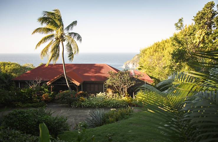 Botanical Gardens - Guadeloupe © Benoit Decout/REA