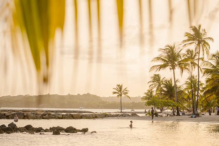 Sainte Anne - Grande Terre - Guadeloupe © Dagmar SCHWELLE/LAIF-REA