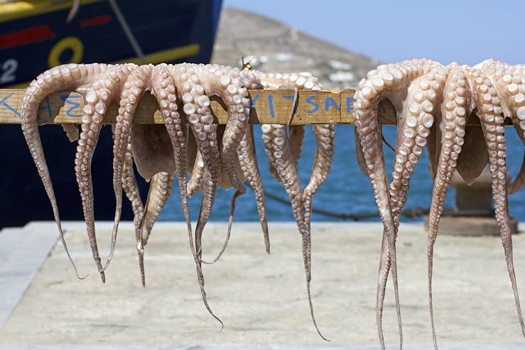 Octopus - Greece © Droits reservés