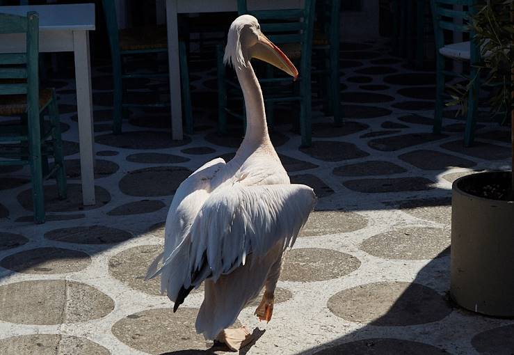 Tinos - Cyclades - Grèce © Droits reservés