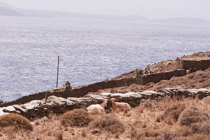 Tinos - Cyclades - Grèce © Droits reservés