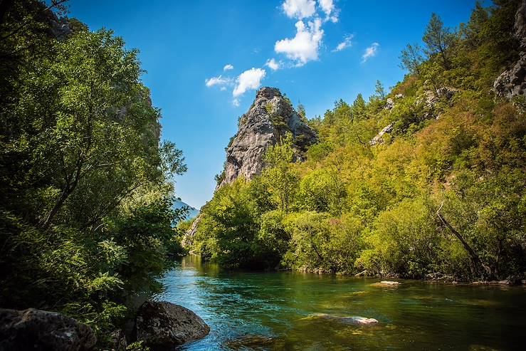 River and forest in Croatia © Droits reservés