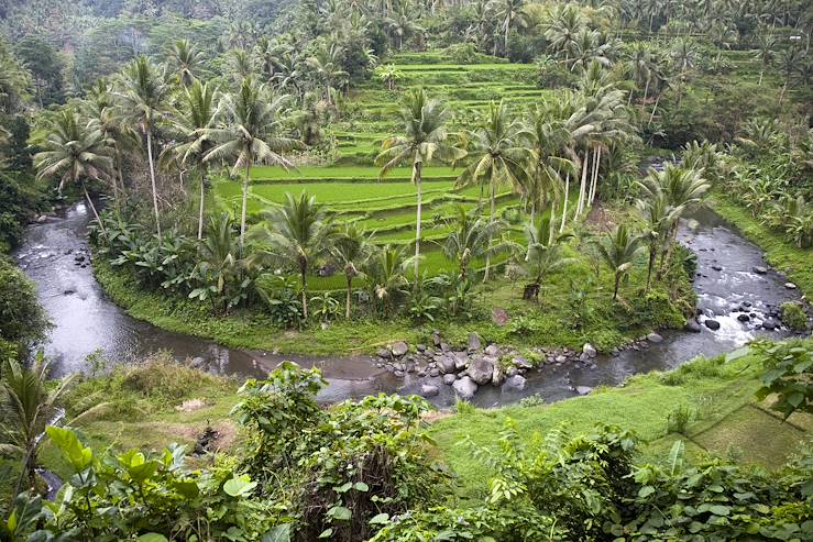 Ubud - Bali - Indonesia © erikdegraaf / Fotolia