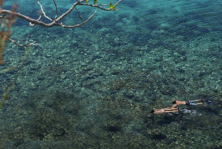 Snorkelling in Indonesia © Droits reservés