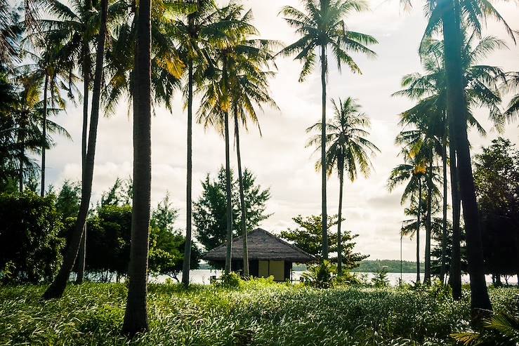 House in Indonesia © Anamaria Chioveanu/Fotolia