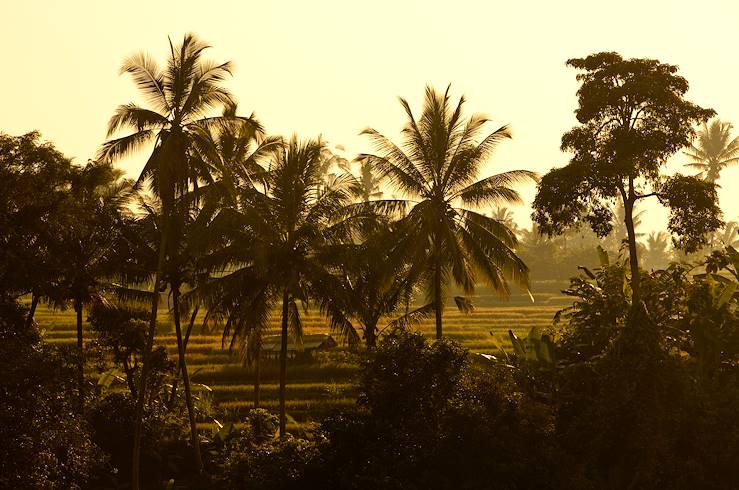 Ubud - Bali - Indonesia © Martin Morrell/Uma Ubud