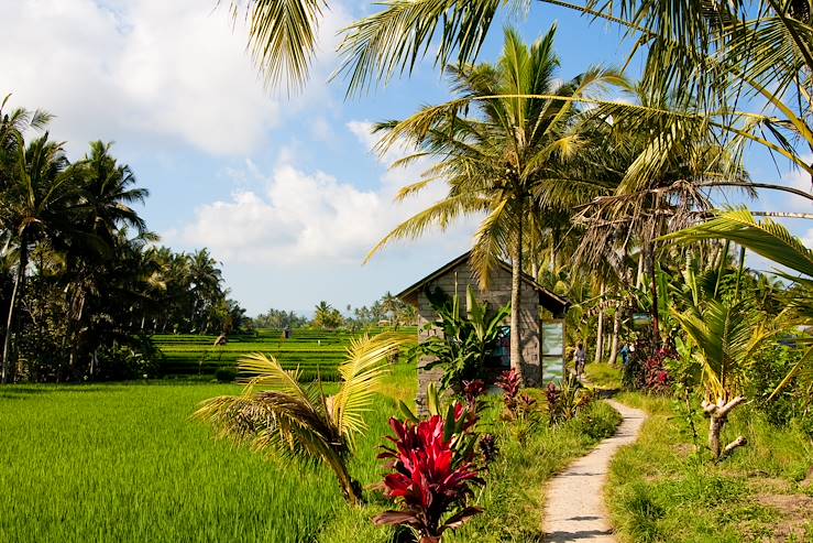 Ubud - Bali - Indonesia © Getty Images/iStockphoto