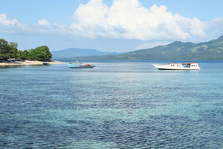 Bunaken National Park - Sulawesi - Indonesia © Mihtiander/iStock/Getty Images Plus