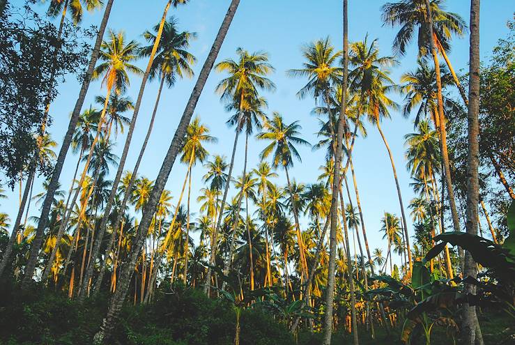 Bunaken island - Sulawesi - Indonesia © John Crux/iStock/Getty Images Plus