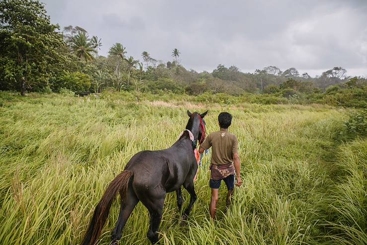 Horse and man - Indonesia © Droits reservés