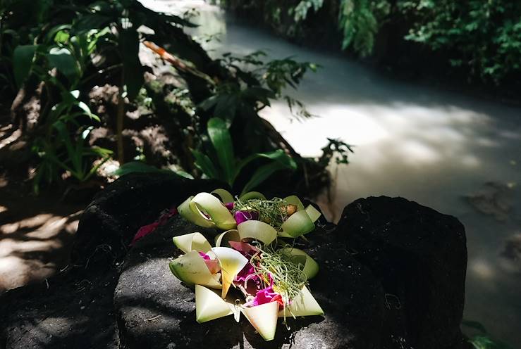 Bali - Indonesia © Faustine Poidevin