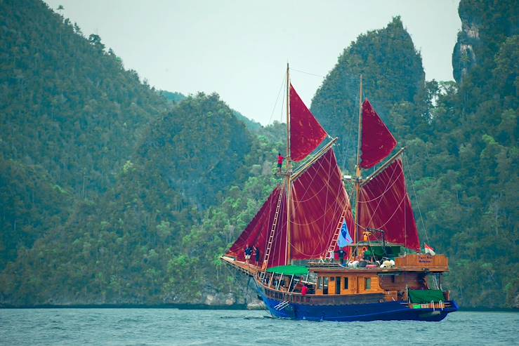 Tiger Blue - Raja Ampat Archipelago - Indonesia © Tiger Blue