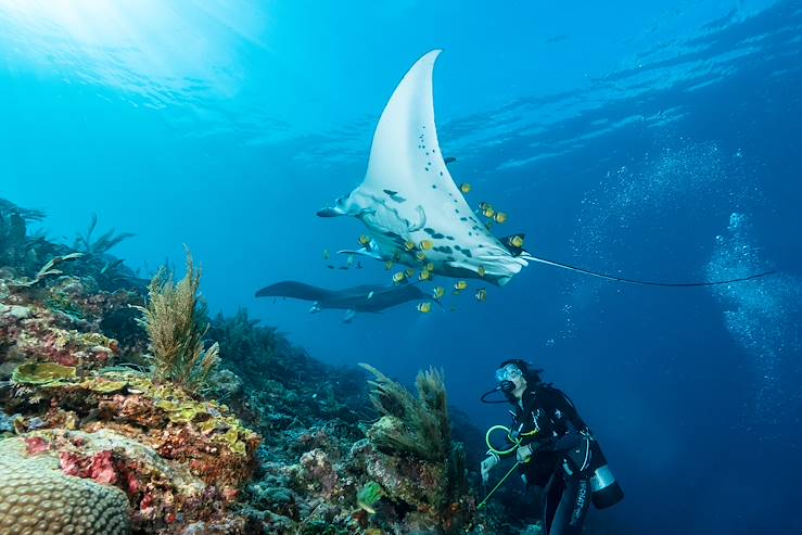 Raja Ampat Archipelago - Indonesia © Subphoto - stock.adobe.com