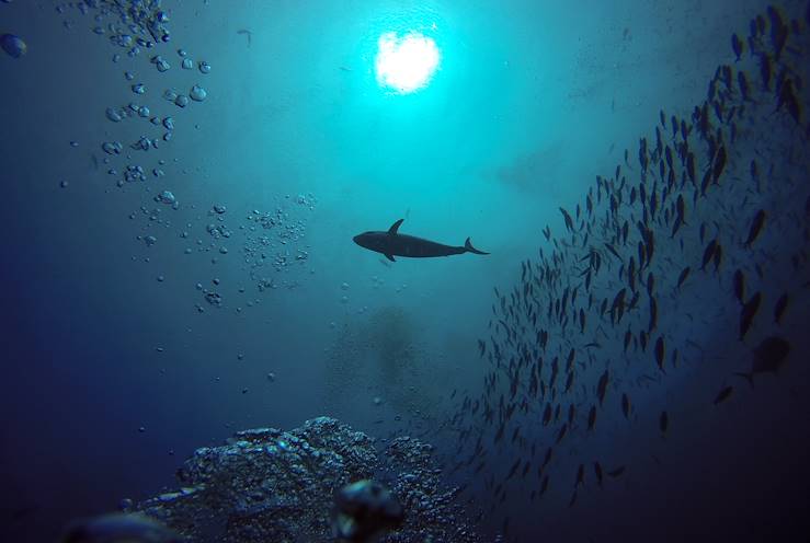 Archipel des Raja Ampat - Indonésie © Patricia - stock.adobe.com