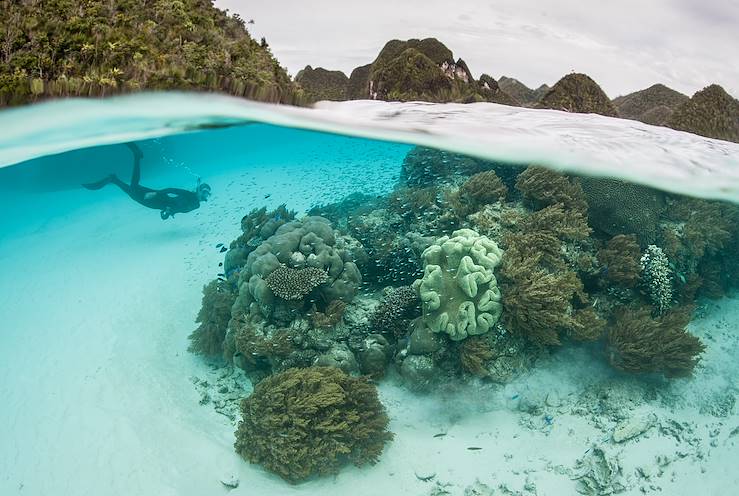 Raja Ampat - Indonesia © ead72 - stock.adobe.com