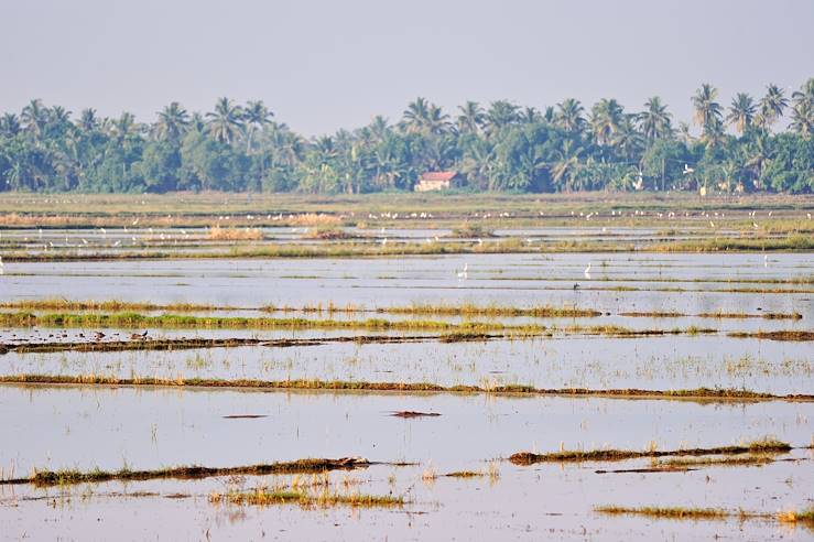 Agricultural land - India © Droits reservés