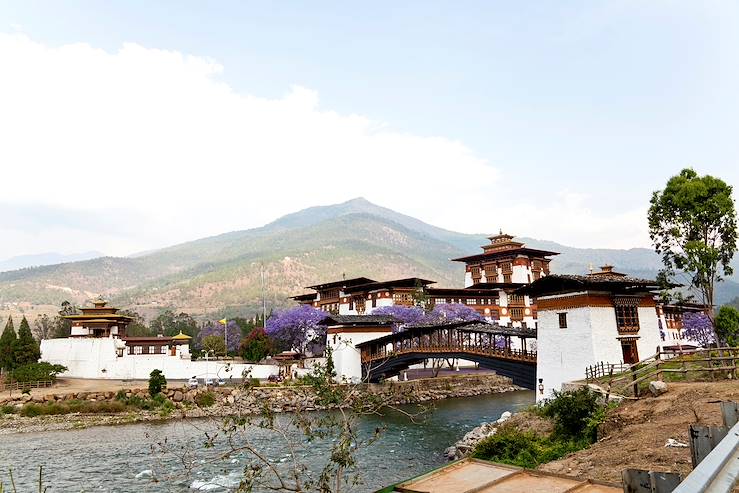 Punakha Dzong - Bhutan © takepicsforfun / Getty Images / iStockphoto