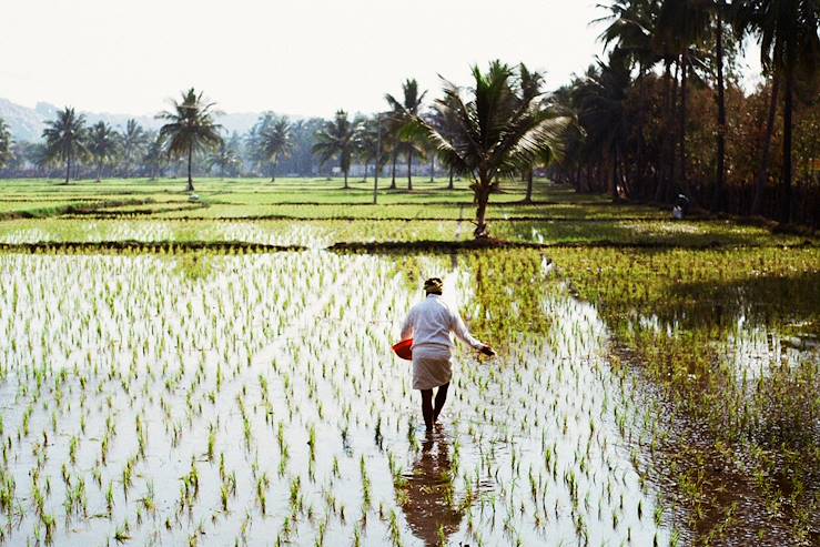 Karnataka - India © Oleh_Slobodeniuk