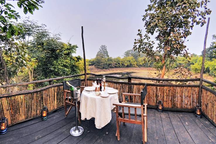 Bandhavgarh - India © Tree House Hideaway