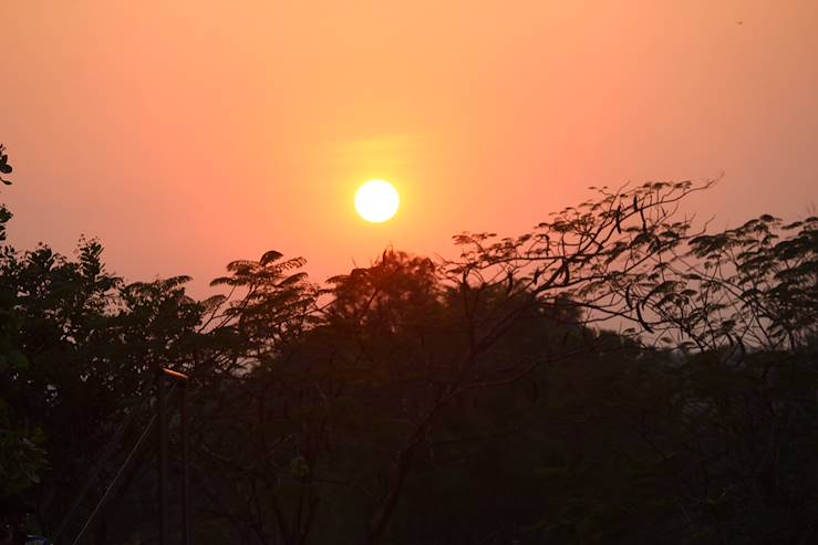 Parc national et sanctuaire faunique de Gir - Gugarat - Inde © MANOJ - stock.adobe.com