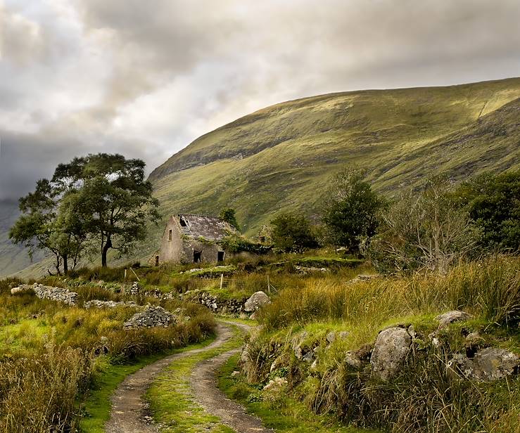 Green hills - Ireland © Droits reservés