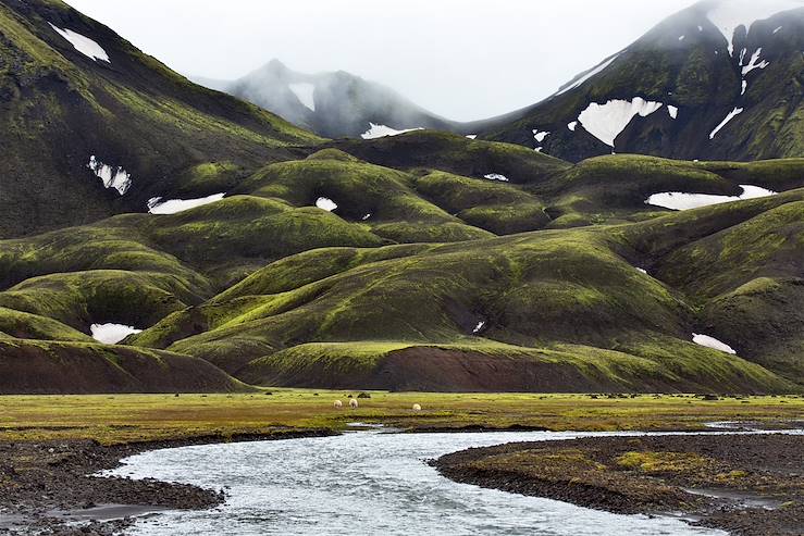 Landmannalaugar - Iceland © mariobono/Getty Images/iStockphoto